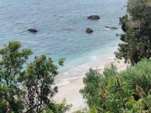 Appartements Triplex entre ciel et mer : photos des chambres