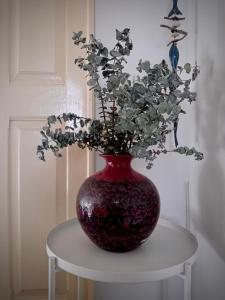 The Corner House - Charming Rustic Home in the Heart of Monchique