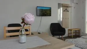 U哈拉德伯膳食公寓 - 兹诺伊莫