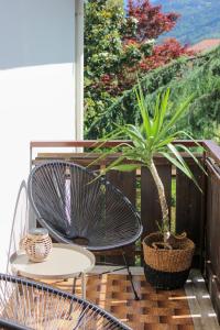 haus e Apartment 2