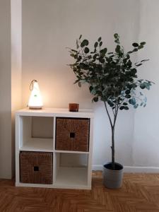 La Fantástica Pontedeume 4