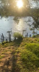 Alfortville Jolie cocon