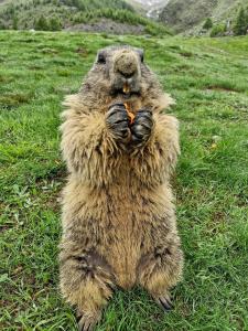 Self-Service Guesthouse Berggeist