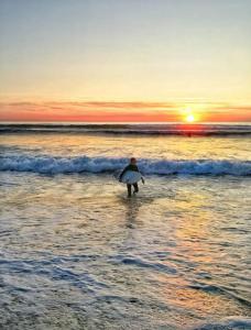 Maisons de vacances Jolie maison en lisiere de foret : photos des chambres