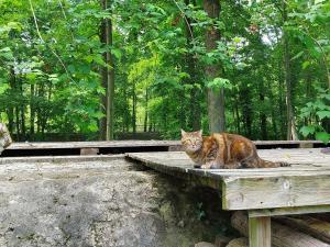 Gîte du Moulin du Ponceau