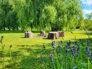 WczasyMazurskie - Domek całoroczny Piwonia Mazury z prywatną plażą