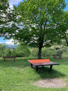 Maisons de vacances Gite de la Placette : photos des chambres