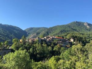 Maisons de vacances Gite de la Placette : photos des chambres