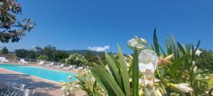 Appart'hotels Residence Riviera : photos des chambres