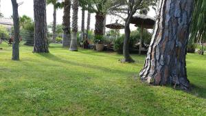 Appartements ARGELES sur MER APPT ETAGE CALELLA TOUT CONFORT JARDIN PISCINE PARKING WIFI : Appartement 2 Chambres