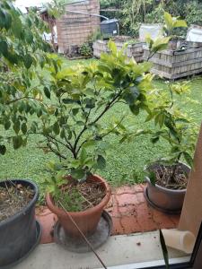 Bugatti 4 chambres- 4 lits doubles