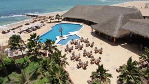 Royal Horizon Baobab