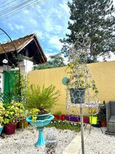B&B / Chambres d'hotes Wonderland21 : photos des chambres