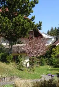 Ferienwohnung Heidi Batzlen - Daisendorf