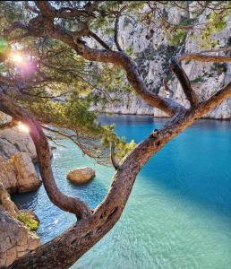 Maisons de vacances Grande maison de vacances jusqu-a 15 personnes, a quelques pas d-Aix-en-Provence : photos des chambres