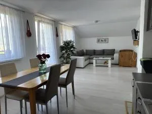 Apartment Magdalena - 科雷尼察