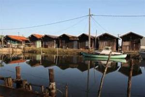 Appartements Appartement agreable sur le bassin d-arcachon : Appartement 1 Chambre