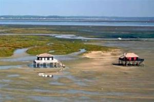 Appartements Appartement agreable sur le bassin d-arcachon : photos des chambres