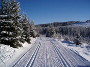 Apartmán Maxmilián Kvilda