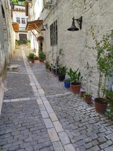 Buda Apartment Gorice