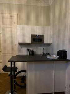 Splendide Haussmannien dans hôtel particulier