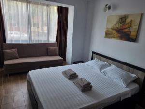 Studio Sat Vacanta Free parking