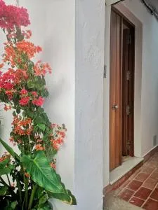 Erizo 3 loft diafáno en el Centro Histórico - 塔里法