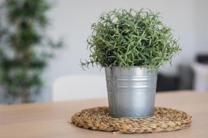 La Lajita Barca Beach Sunset