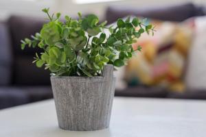 La Lajita Barca Beach Palms