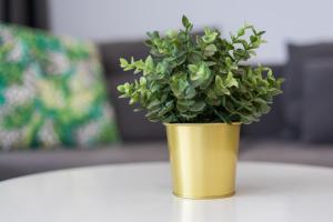 La Lajita Barca Beach Ocean