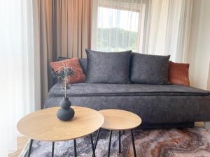 Nemunas River Apartments, in the city center