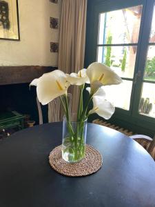 B&B / Chambres d'hotes Domaine Du Tafiart : photos des chambres