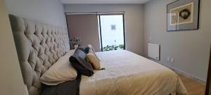 Lindo depa en el corazón de la roma