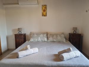 casa dal vecio Carli