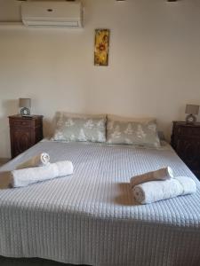 casa dal vecio Carli