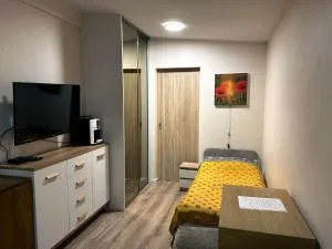 Nowoczesne Studio z ogrodem i parkingiem - Łazarz