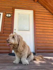 Lost Horse Lodge King Cabin 11 PetsOK - Sula