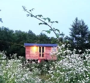 Casetta sul lago - Cassinetta di Lugagnano