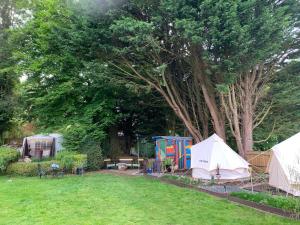 Ohana Camping