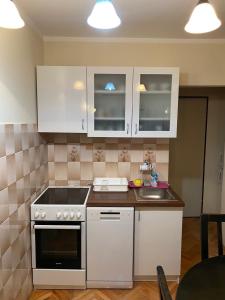 Lalatovic Two Bedroom Apartment Sokobanja