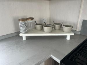 Robinson retreats beautiful caravan with sea views pet friendly