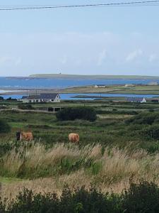 Coastal View Cottage
