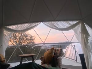 Luz de Luna Glamping