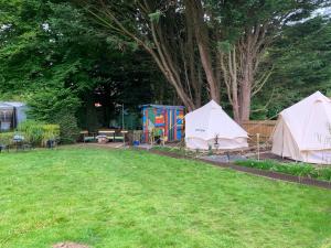 Ohana Camping