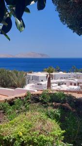 Appartament in Domina Coral Bay