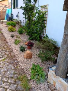 DOMAINE de la QUINTA FENIX- Quarto Olivia