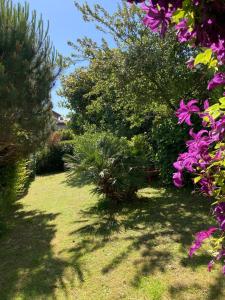 Maisons de vacances Maison avec grand jardin et terrasse dans quartier de la Benedictine : photos des chambres