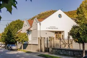 Vendégház a Tábornokhoz - 维谢格拉德