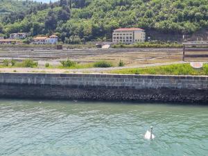 Salt Field Residence