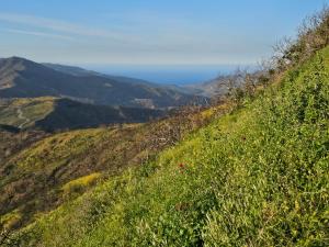 Charmante Villa avec Piscine en Bord de Mer a beni ksila
